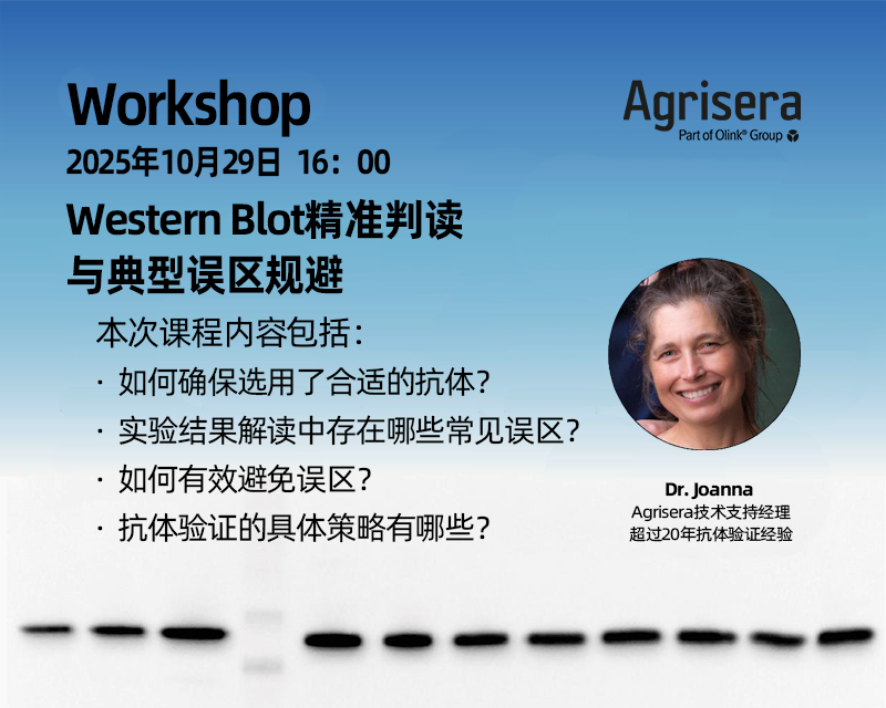 Agrisera講座 II：Western Blot精準(zhǔn)判讀與典型誤區(qū)規(guī)避